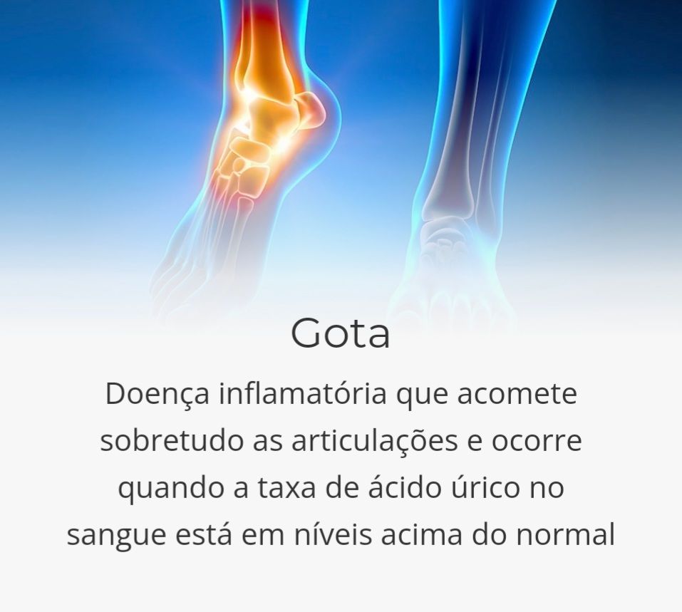 Angela Maria Freitas Paiva-6