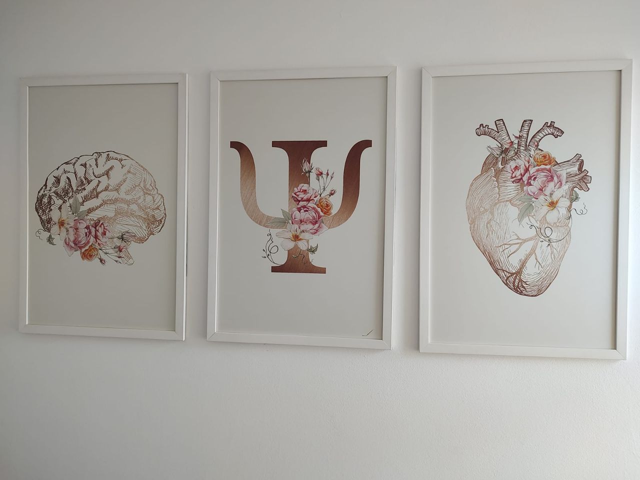 Juliana Ferreira Moraes Rovaron-7