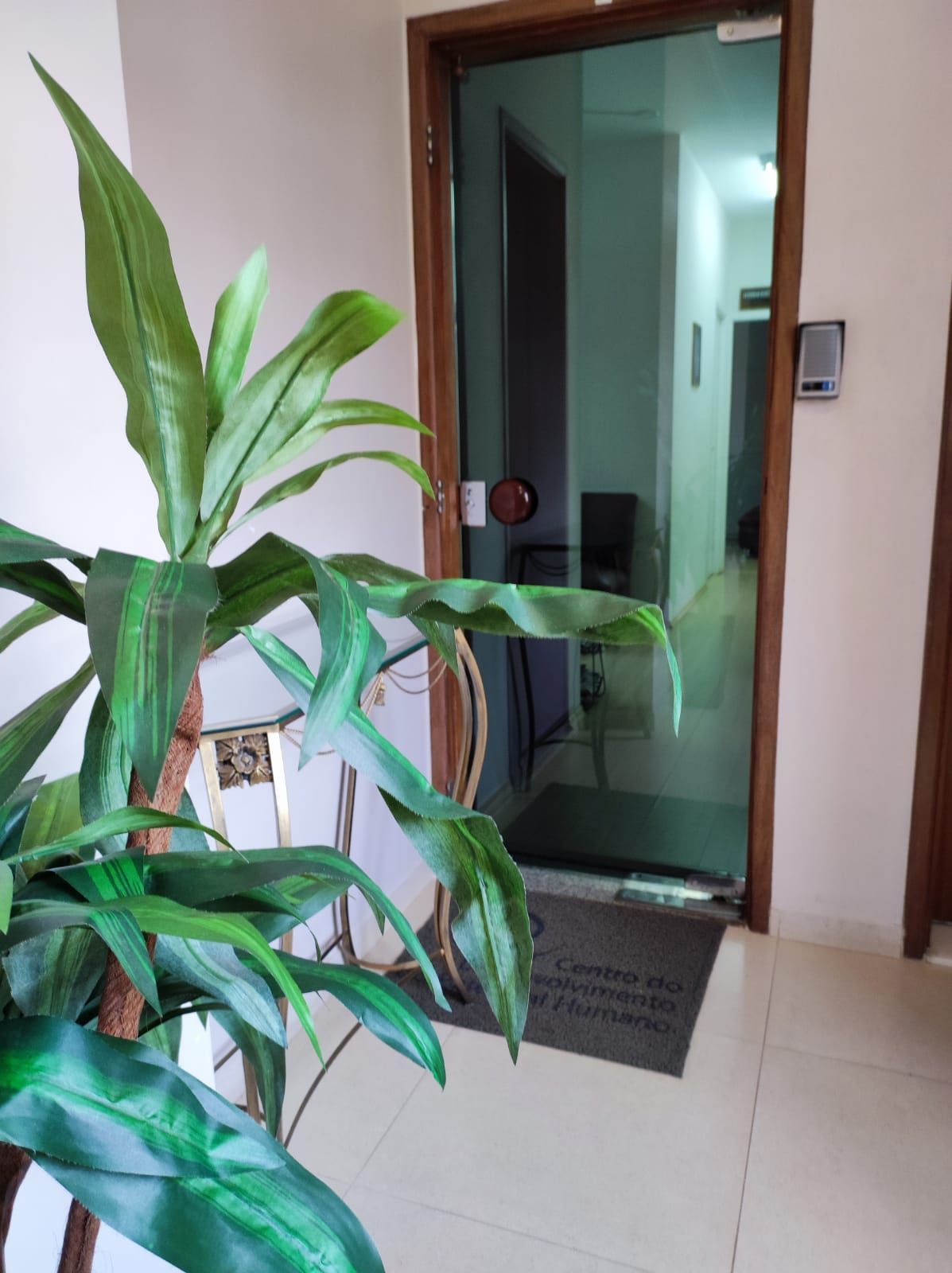 Doroteia Murcia Souza-0