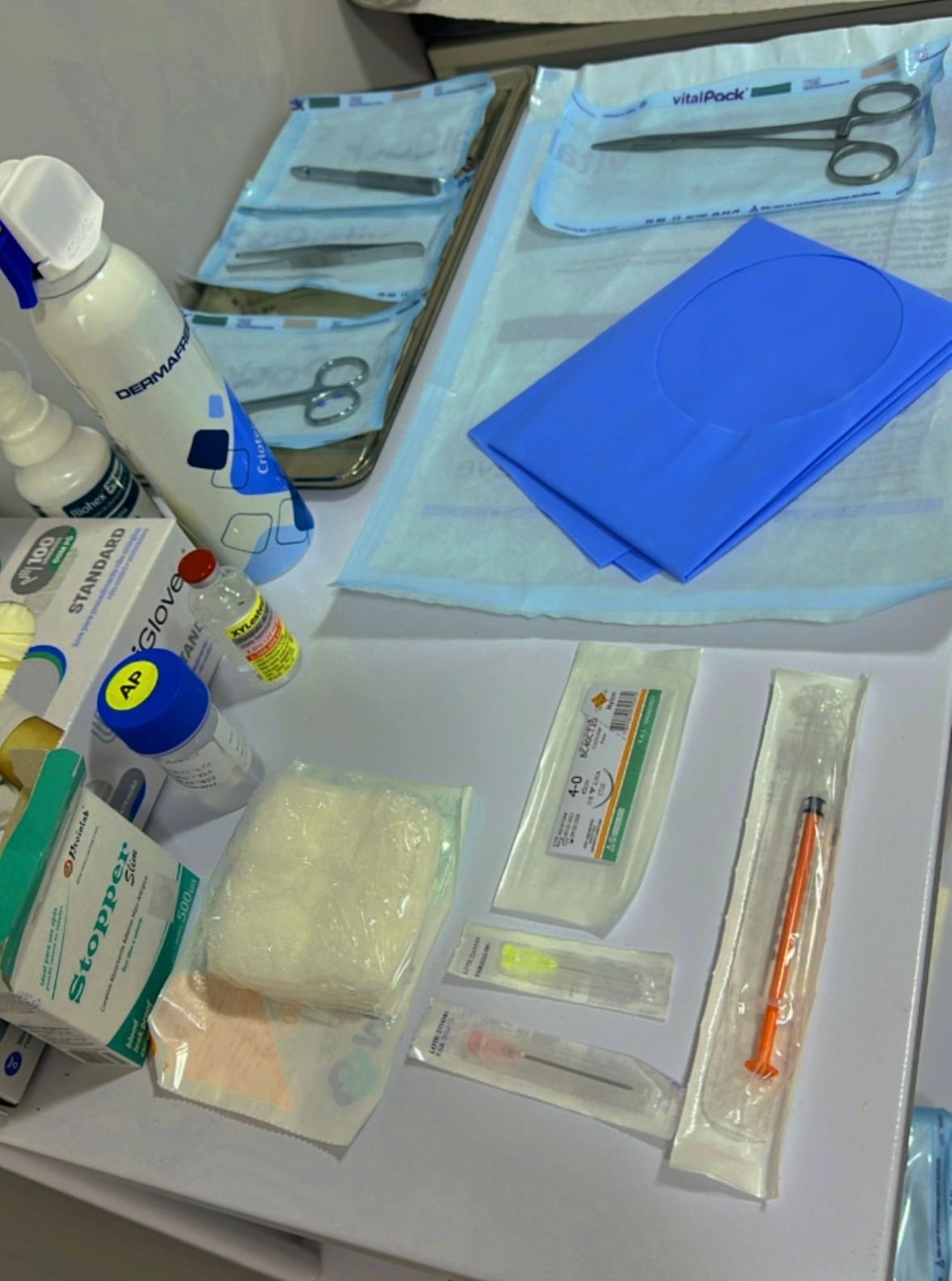 Fernanda Baracho Dominguez-7