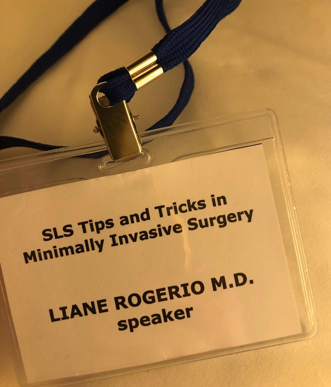 Liane Silva Rafael Rogério-39