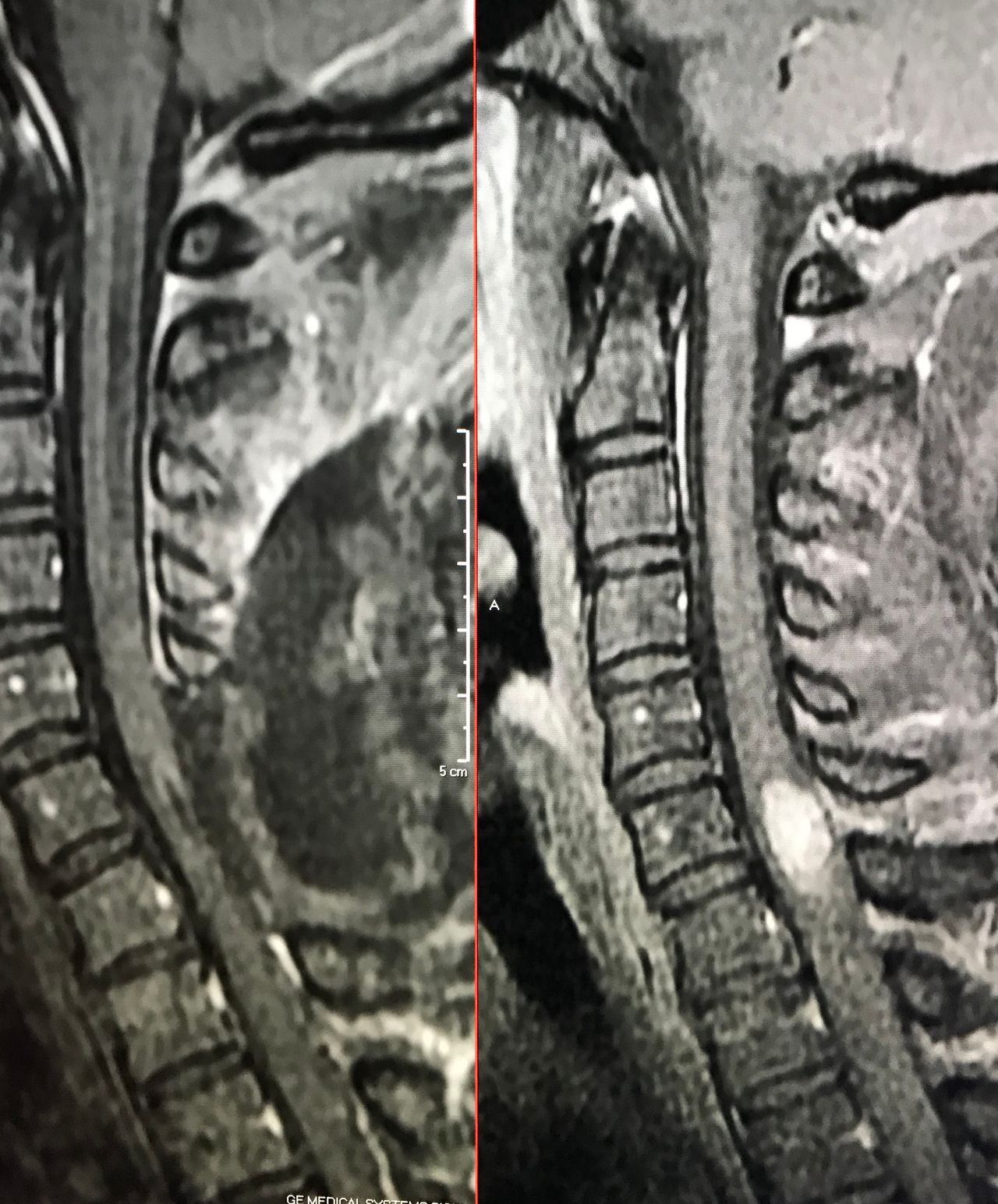 Leonardo Conrado Silva Lima-1