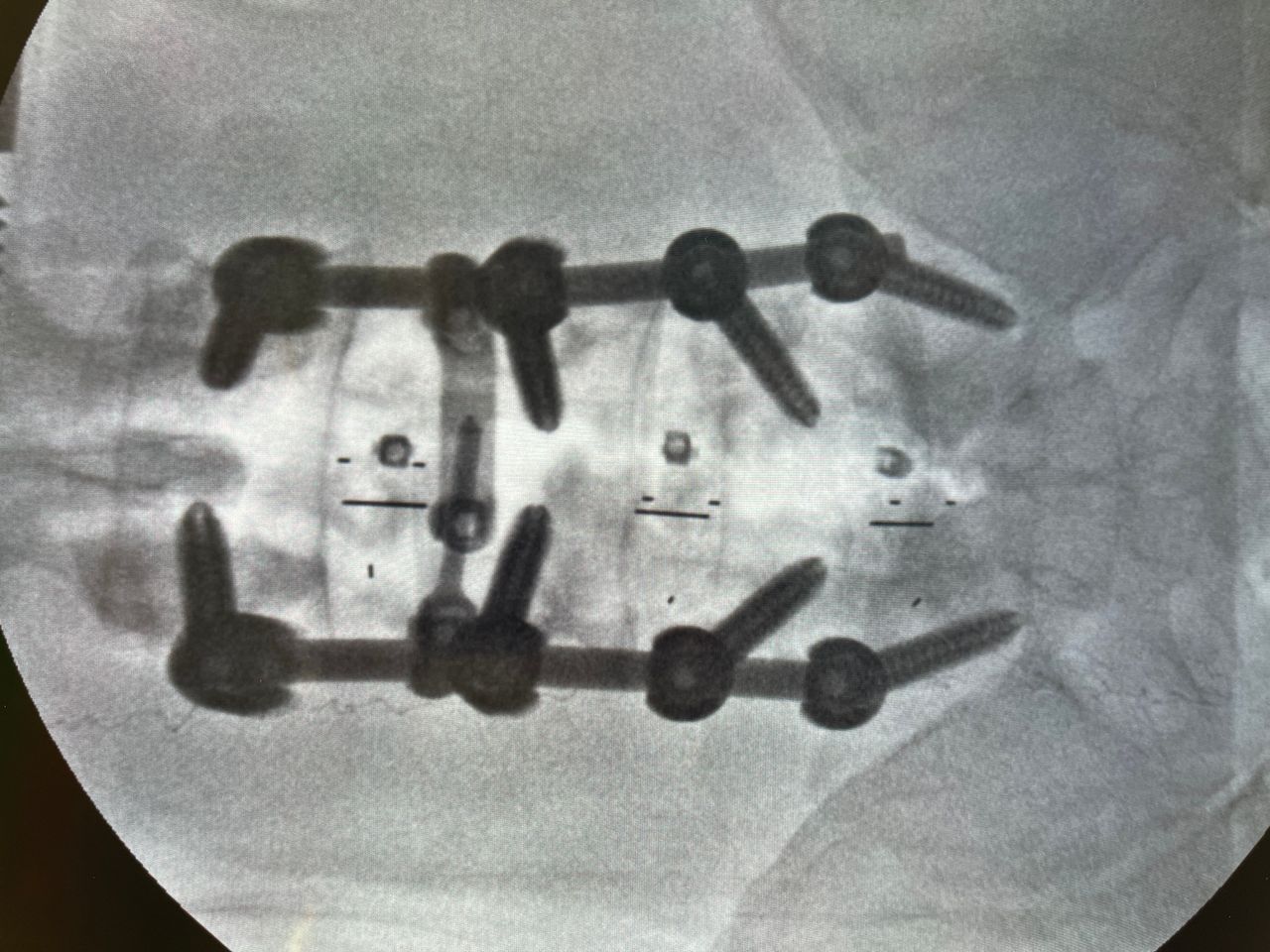 Gustavo Baptista Candido-11