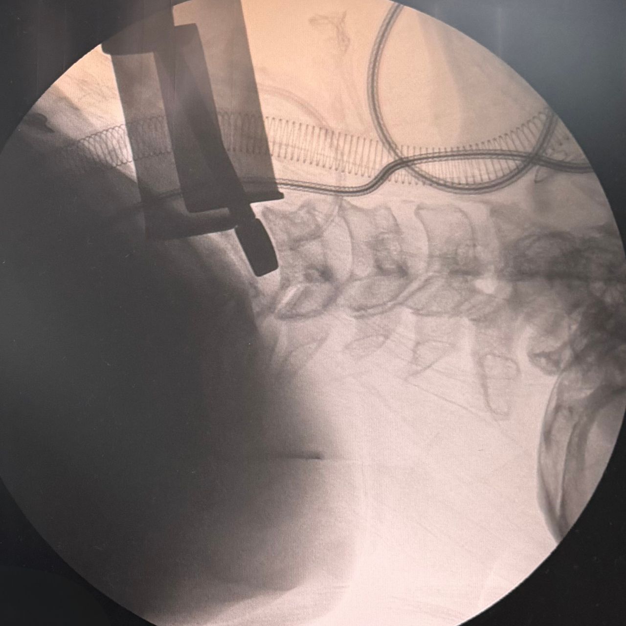 David Tafur Muñoz-2435