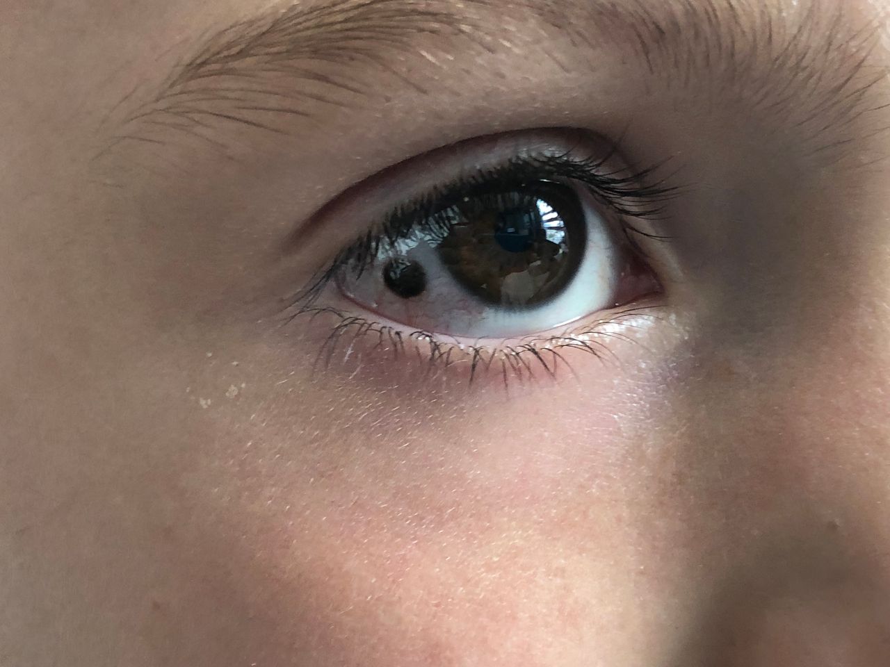 Leonardo Alvarez Osorio-21