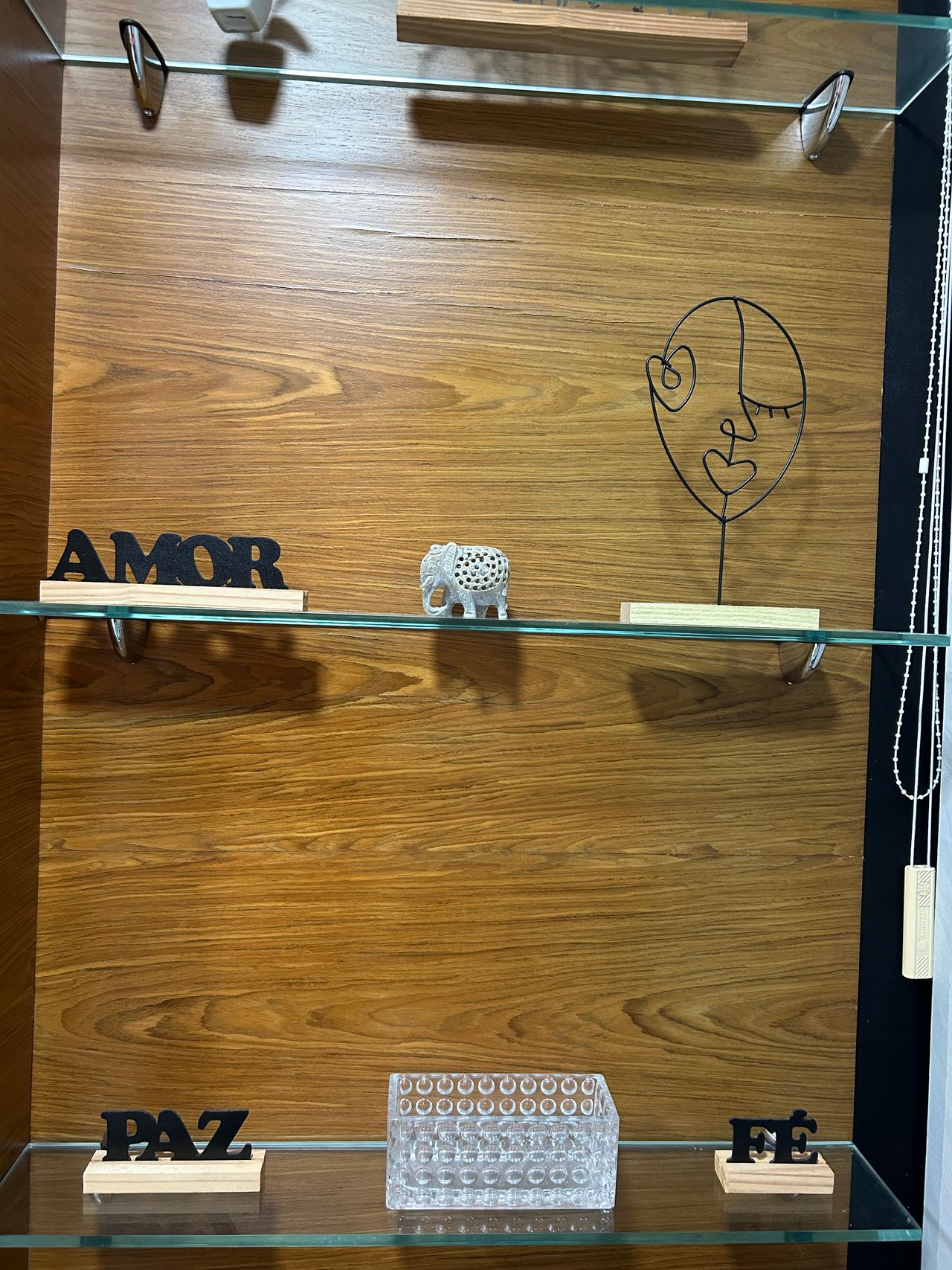 Ana Cláudia Vieira-1