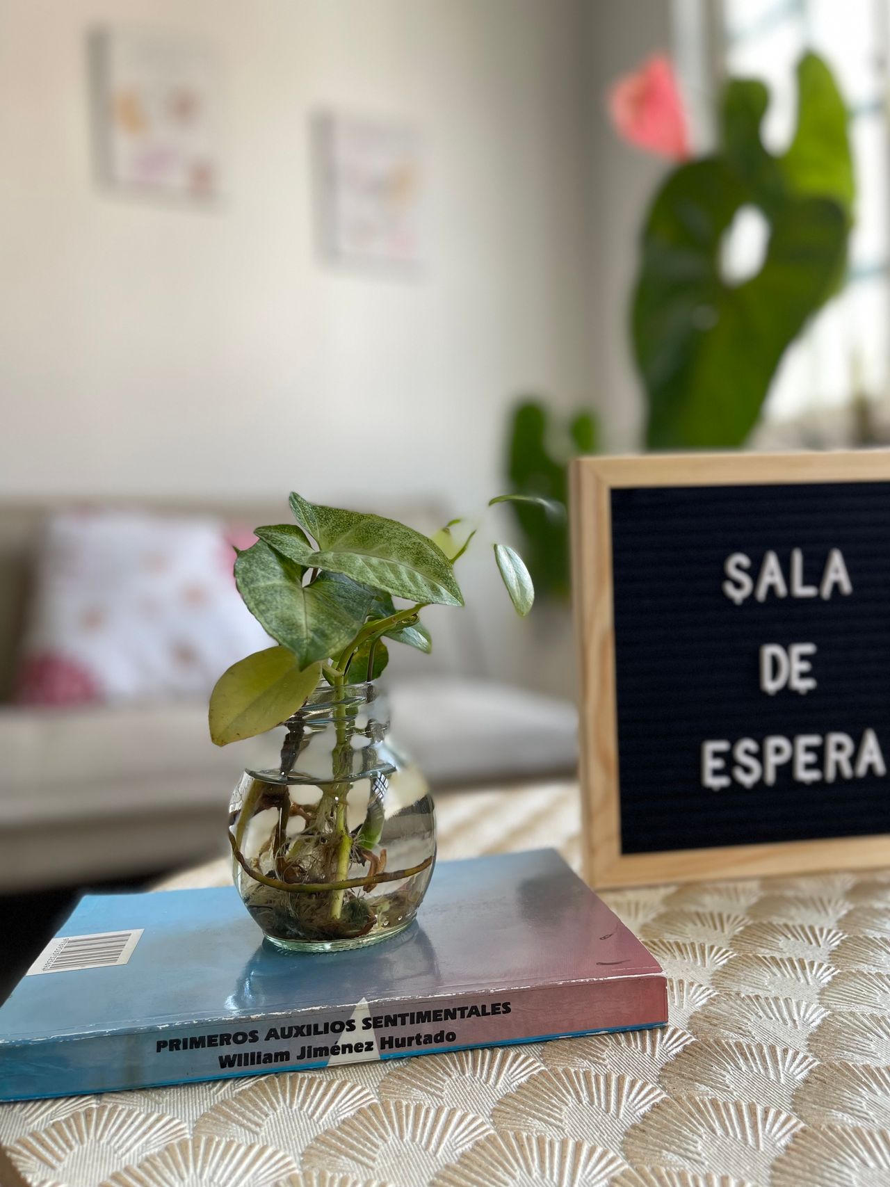 Andrea Zuluaga Echeverri-10