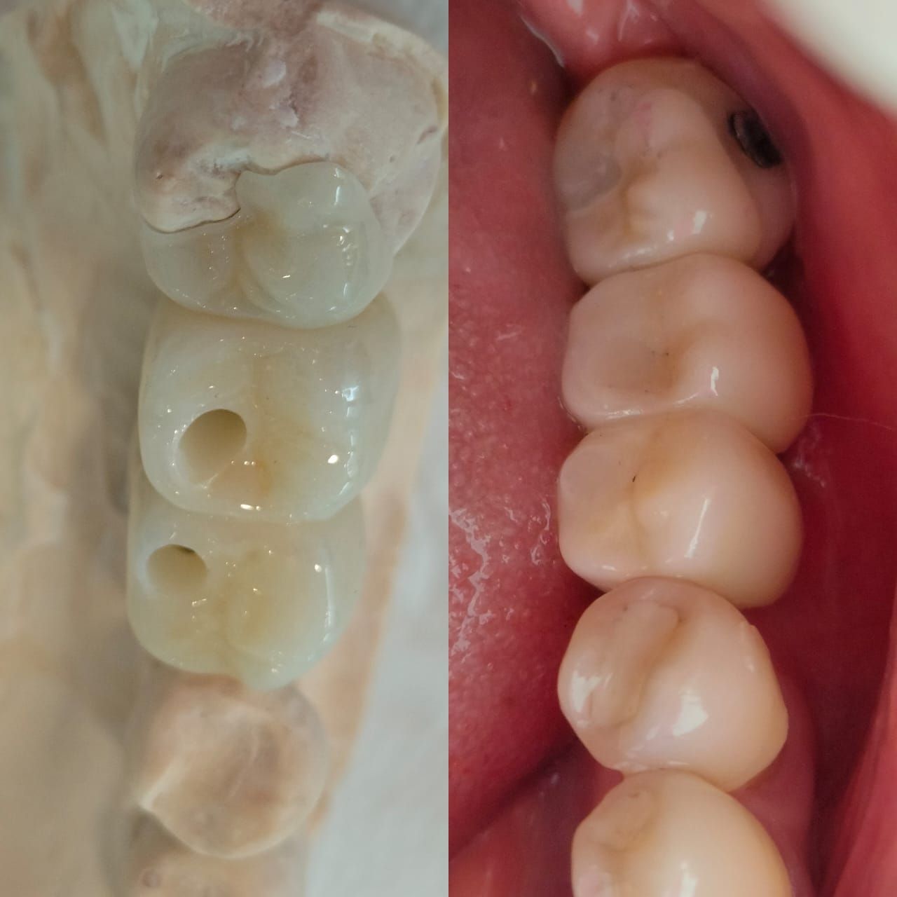 Sharon Andrea Waldo Nicholls-11