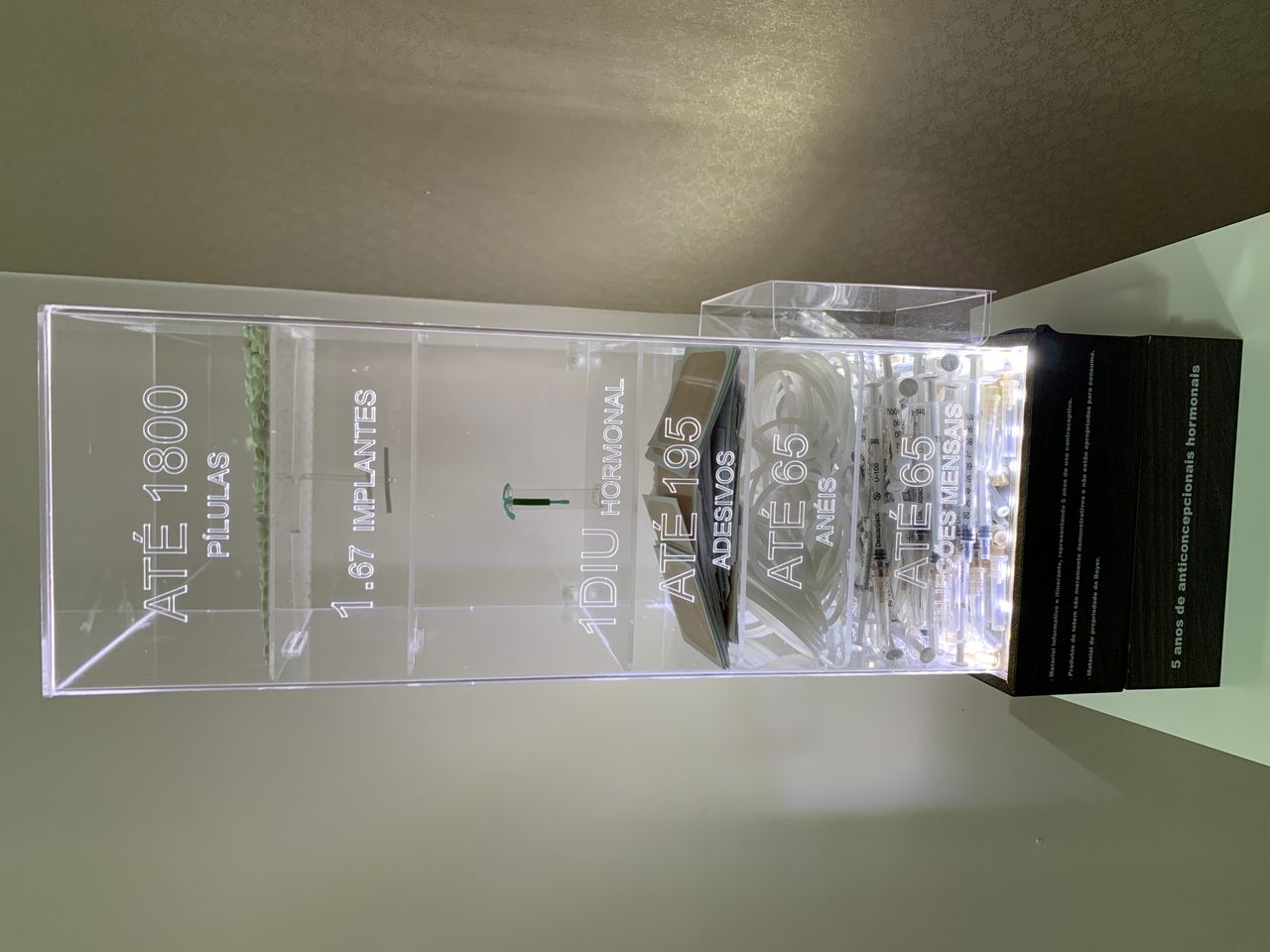 Fabiana Aver Pires Rabaioli-15