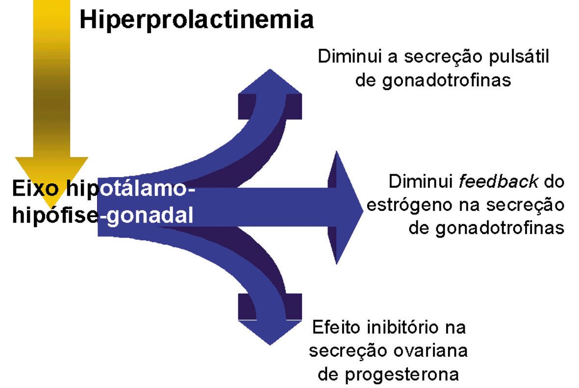 Antonio De Padua Dantas Cavalcante-0