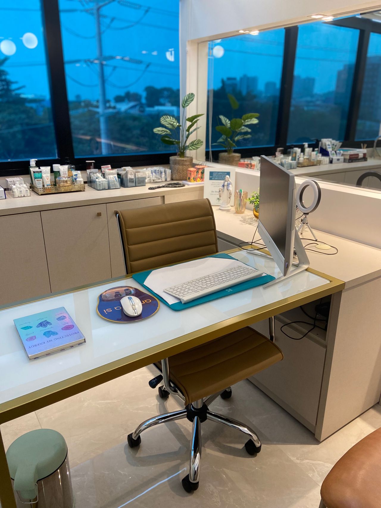 Renata Almeida Schettini Costa-3