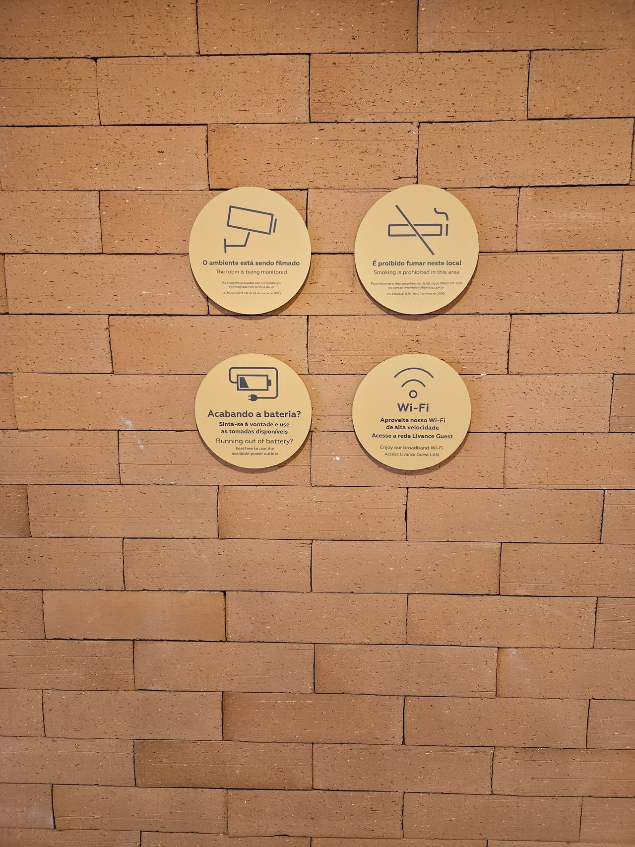 Gabriel Luiz Fernandes-1