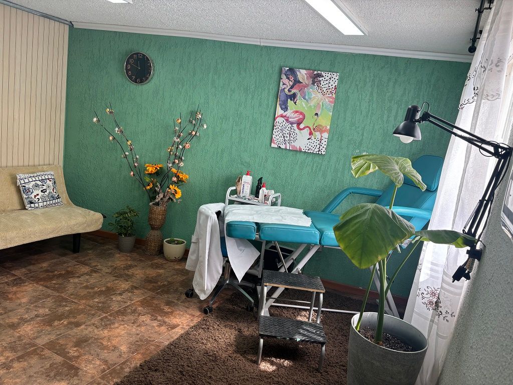 Katherine Daniela  Garrido Carrasco -3