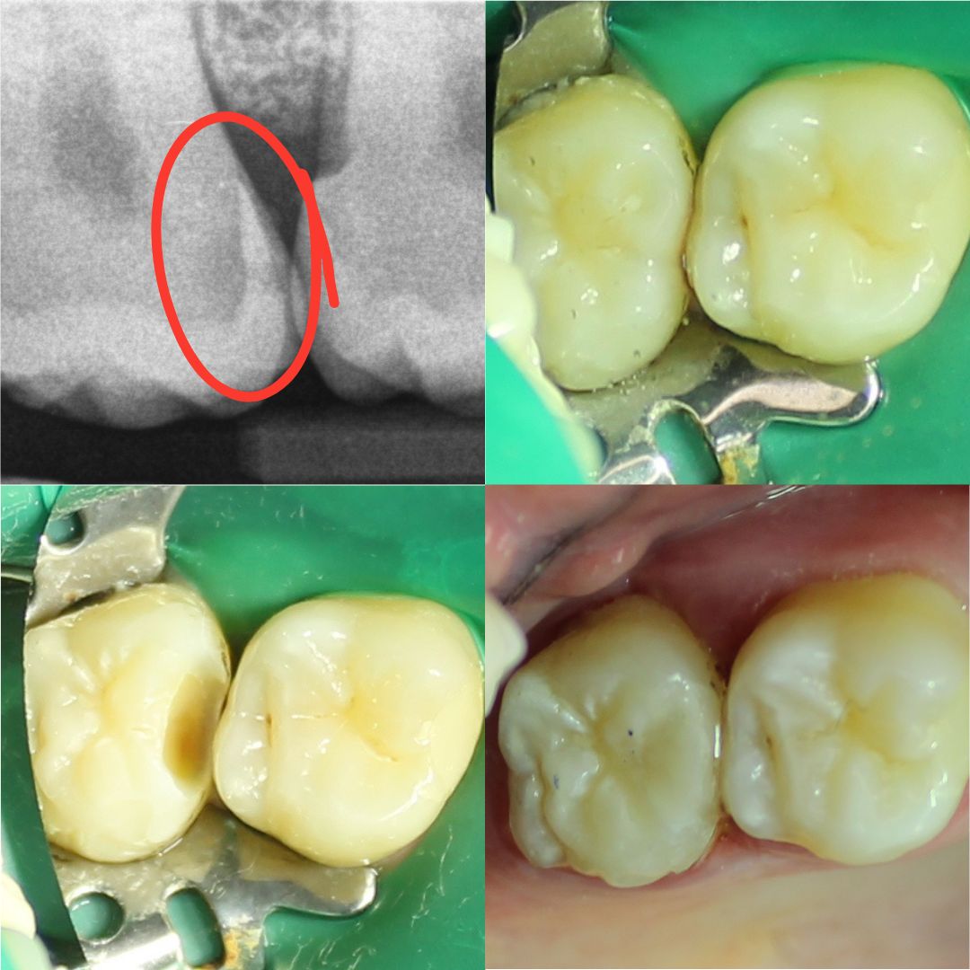 Nicole Poblete Quezada-2
