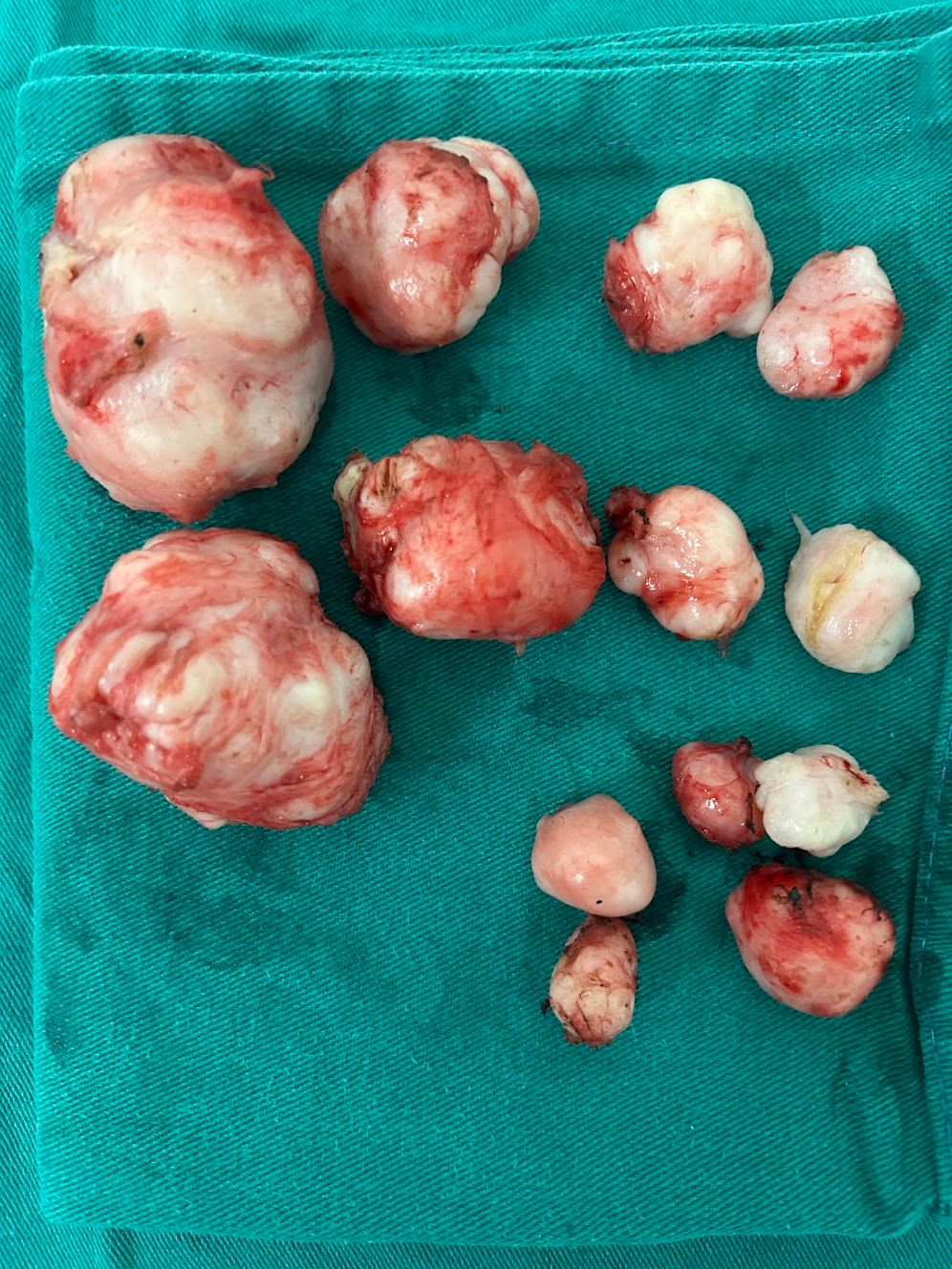 Adalberto Cesario Pereira Junior-34