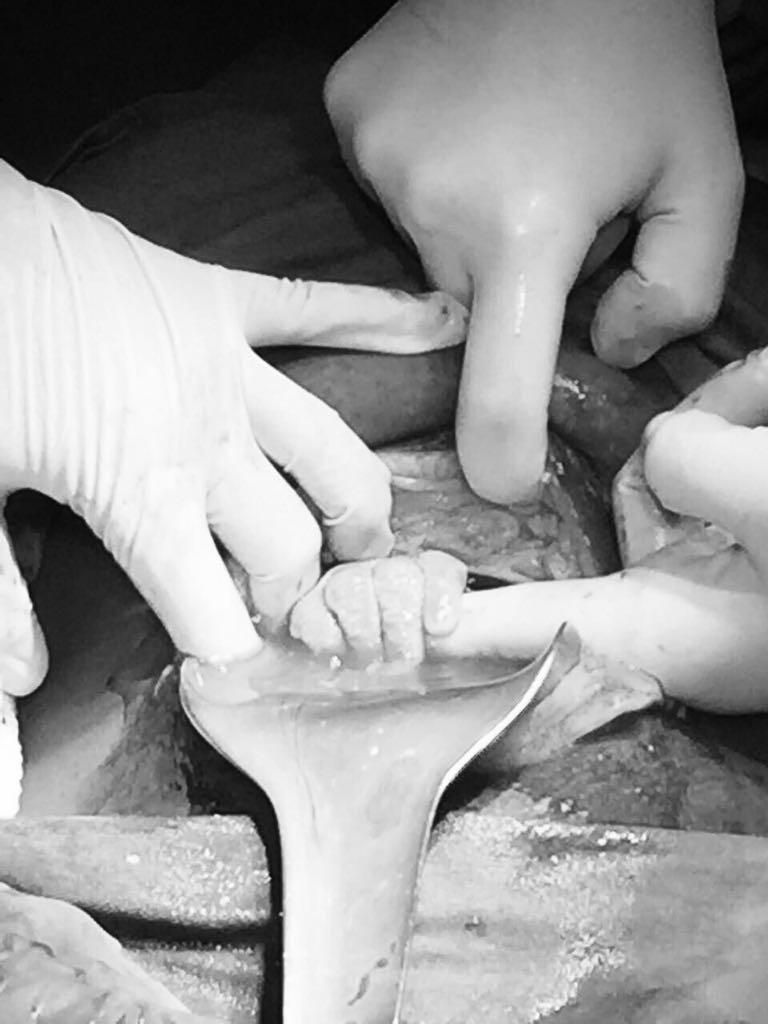 Leonor França Soares-8