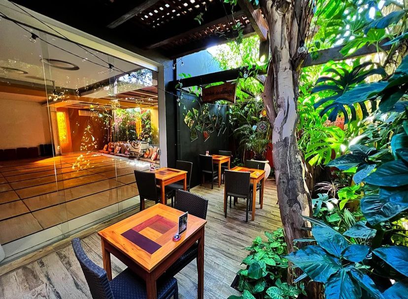 Frederico Guimarães Mendes Filho-10