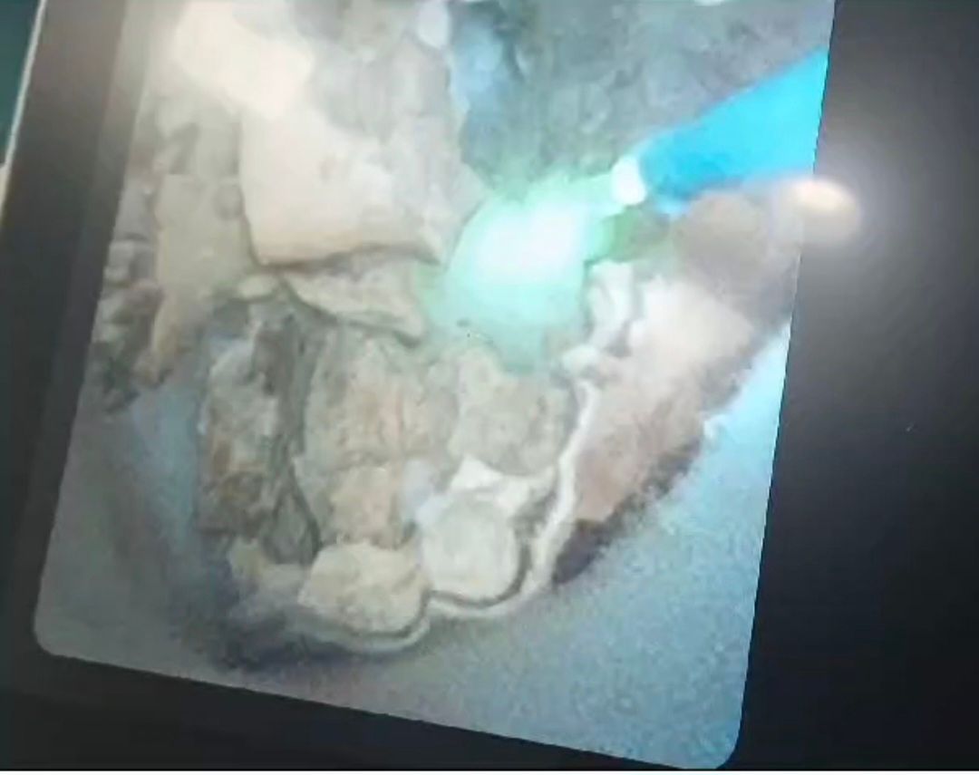 Leonardo Gastón De Oliveira-20