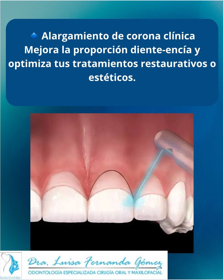 Luisa Fernanda Gomez Reyes-29