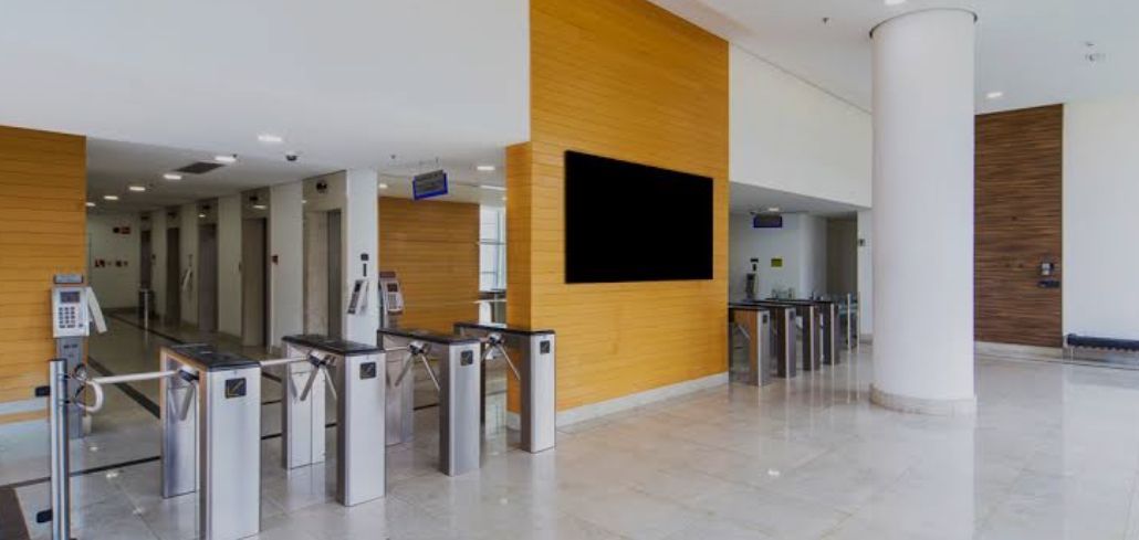 Elaine Medeiros Passarini-3