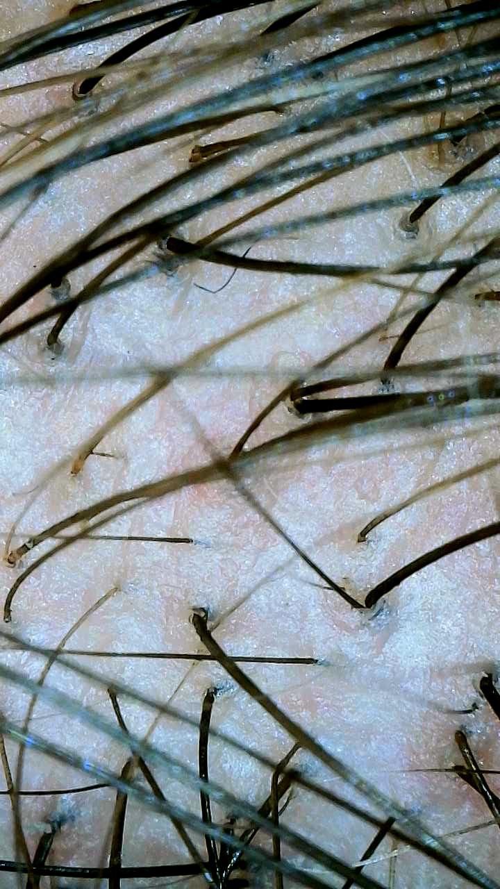 Marcy Leoncini De Oliveira-0