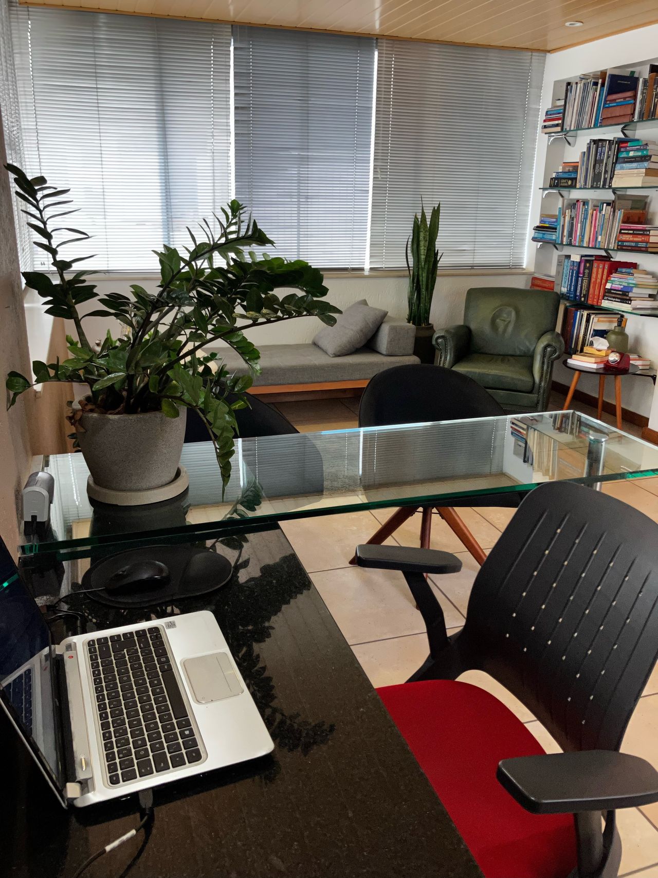 Vanessa Mendonça Santos-0