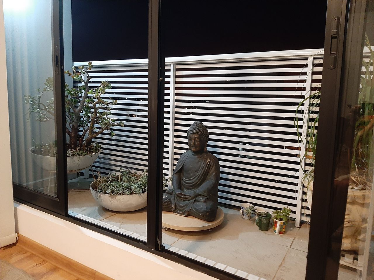 Marcio Araujo Busato-5