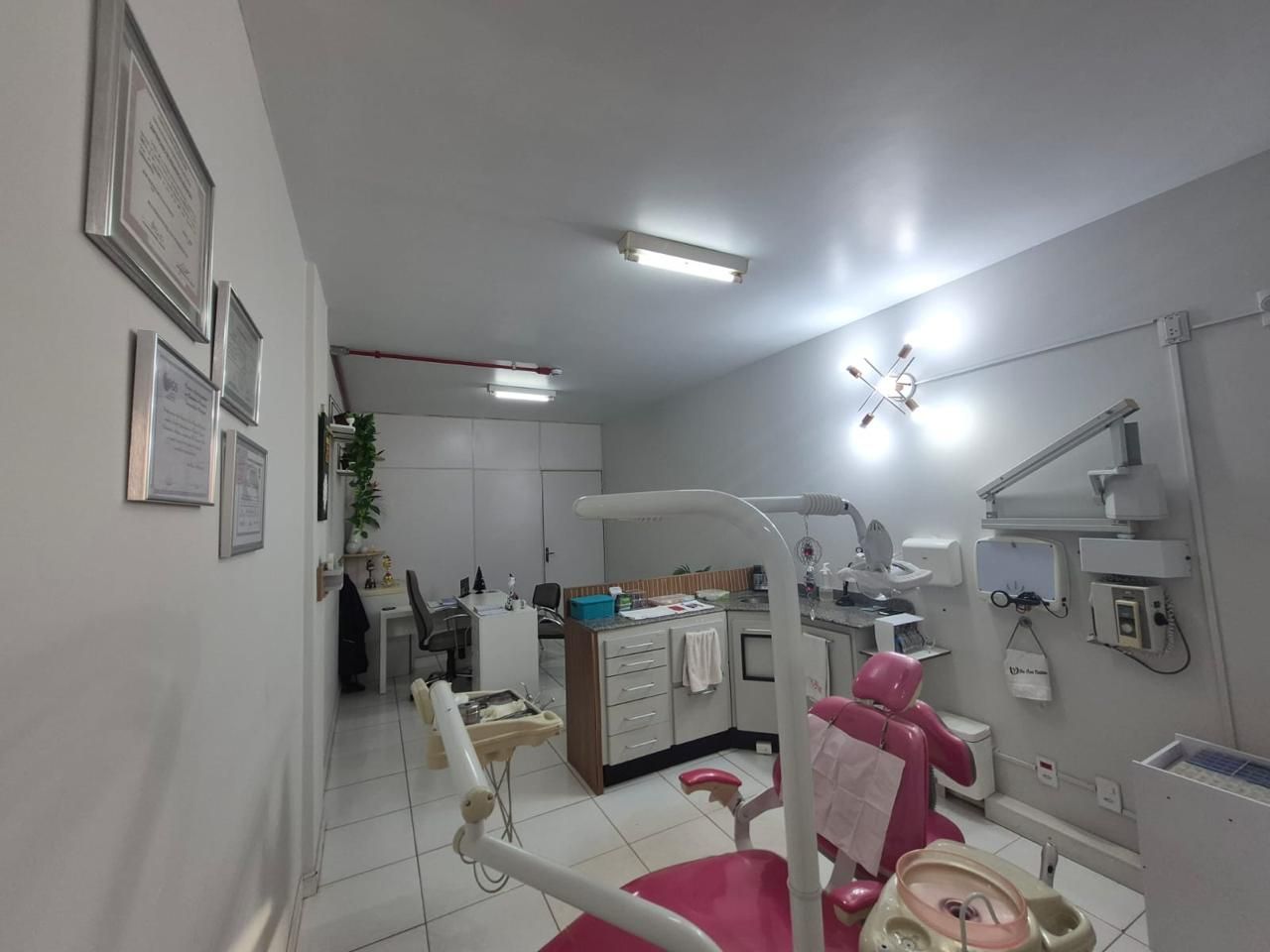 Ana Cristina  De Sousa Fonseca -2