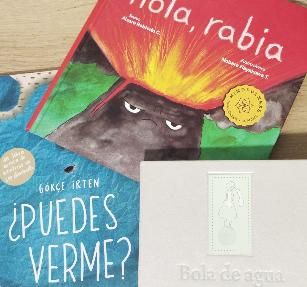 Marisol Vásquez Villa-5