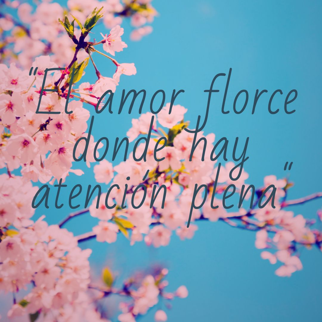 Ángela Mireya Páez Chávez-39