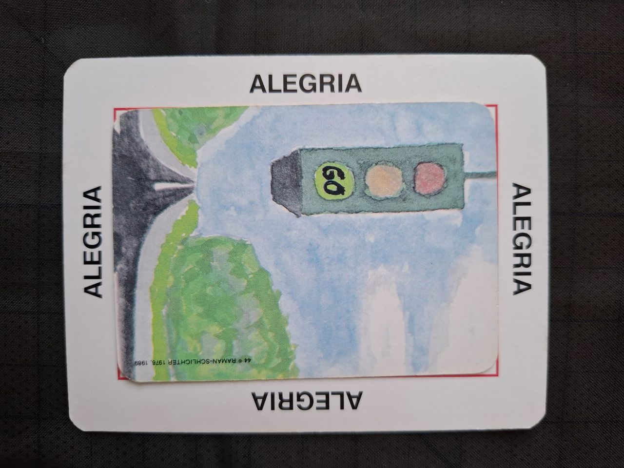 Maria Manuela Ferreira-4