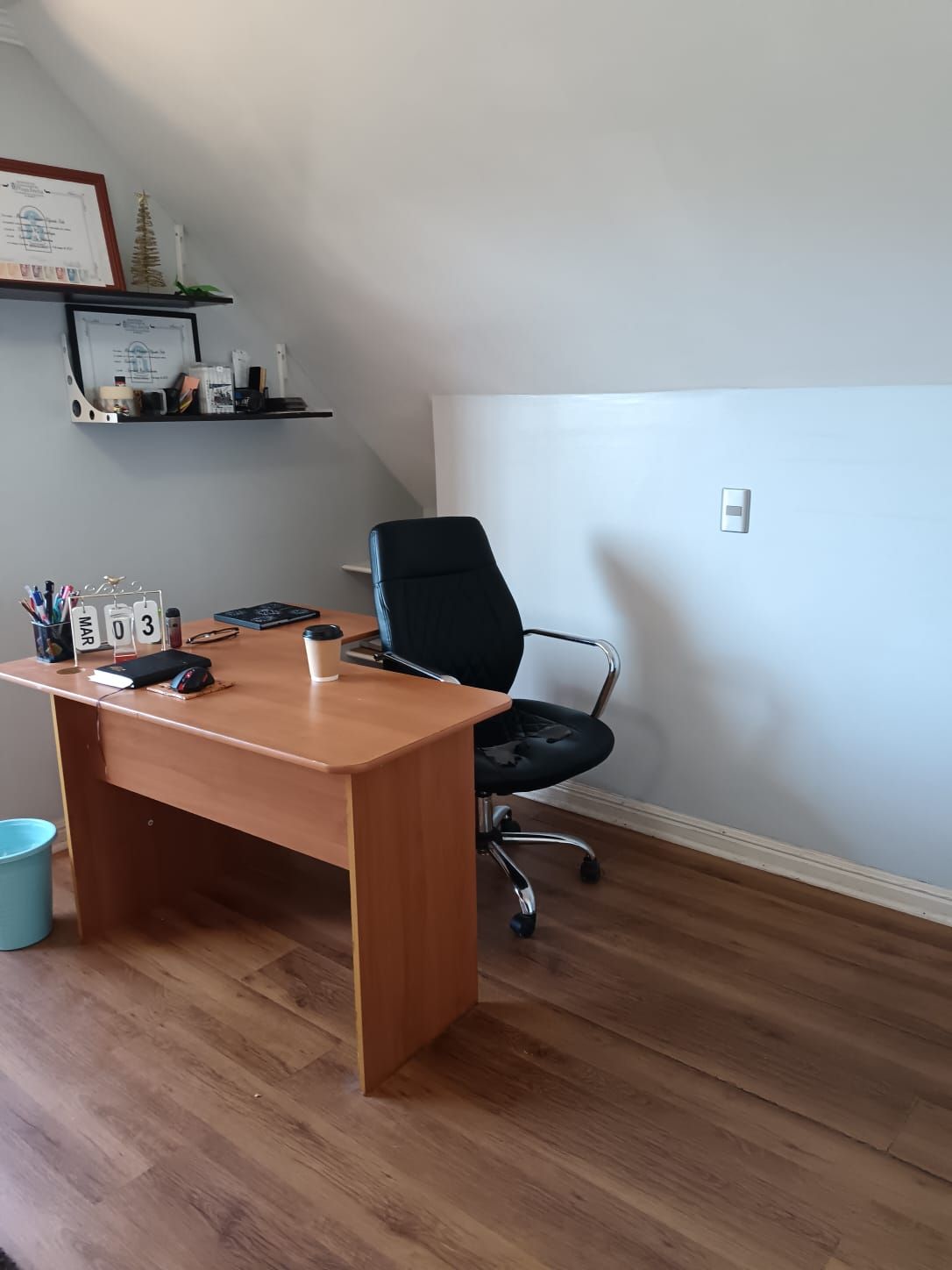 Manuel Elgueta Soto-2