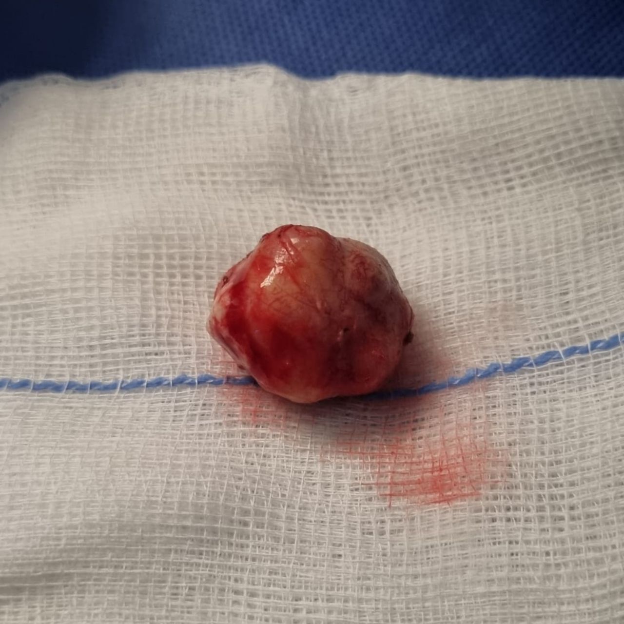 David Tafur Muñoz-1181