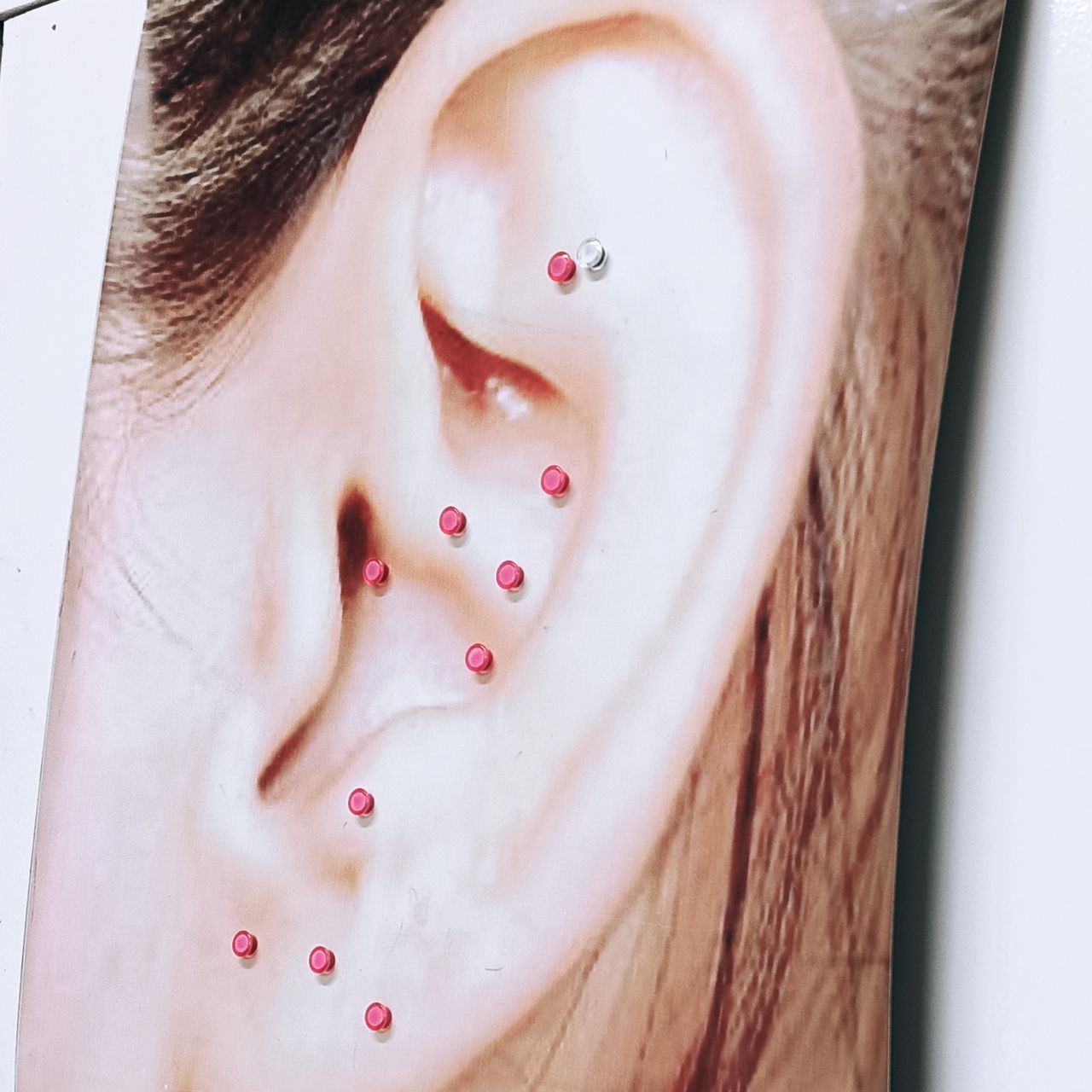 Luz Angela Murcia Camargo-10