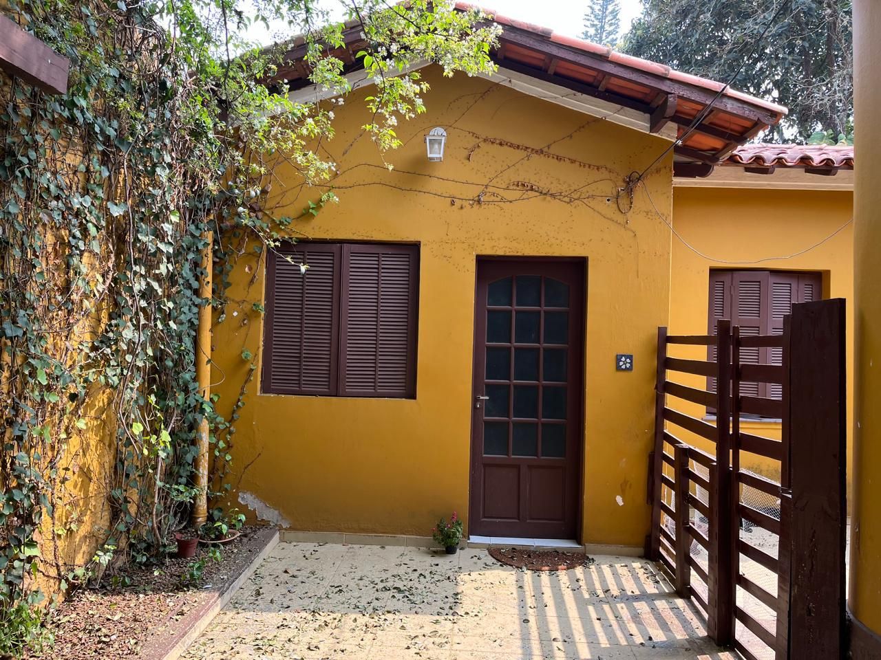 Vera Christina Figueiredo-0