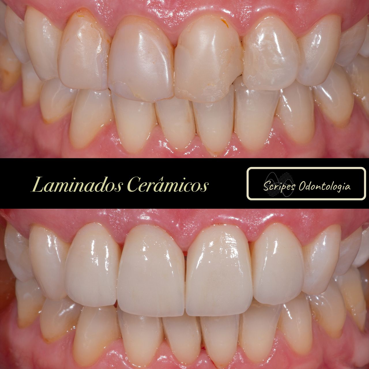 Gabriel Godoy Scripes-49