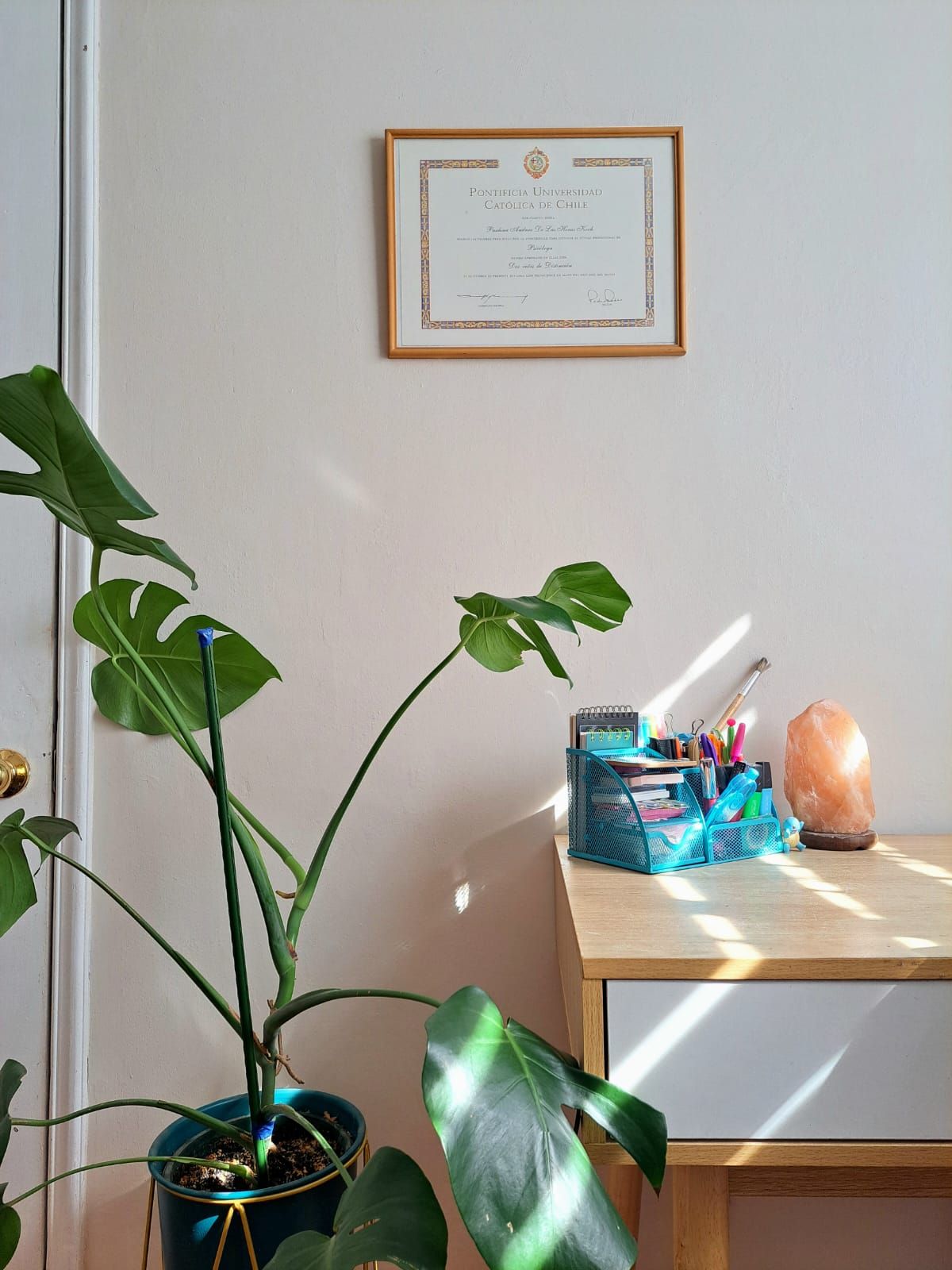 Paulina De Las Heras Koch-3