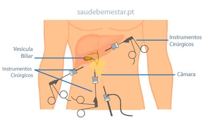 Vinicius Amaro Chagas Mesquita-4