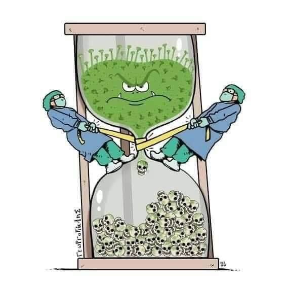 José Milton Cardoso Jr-12