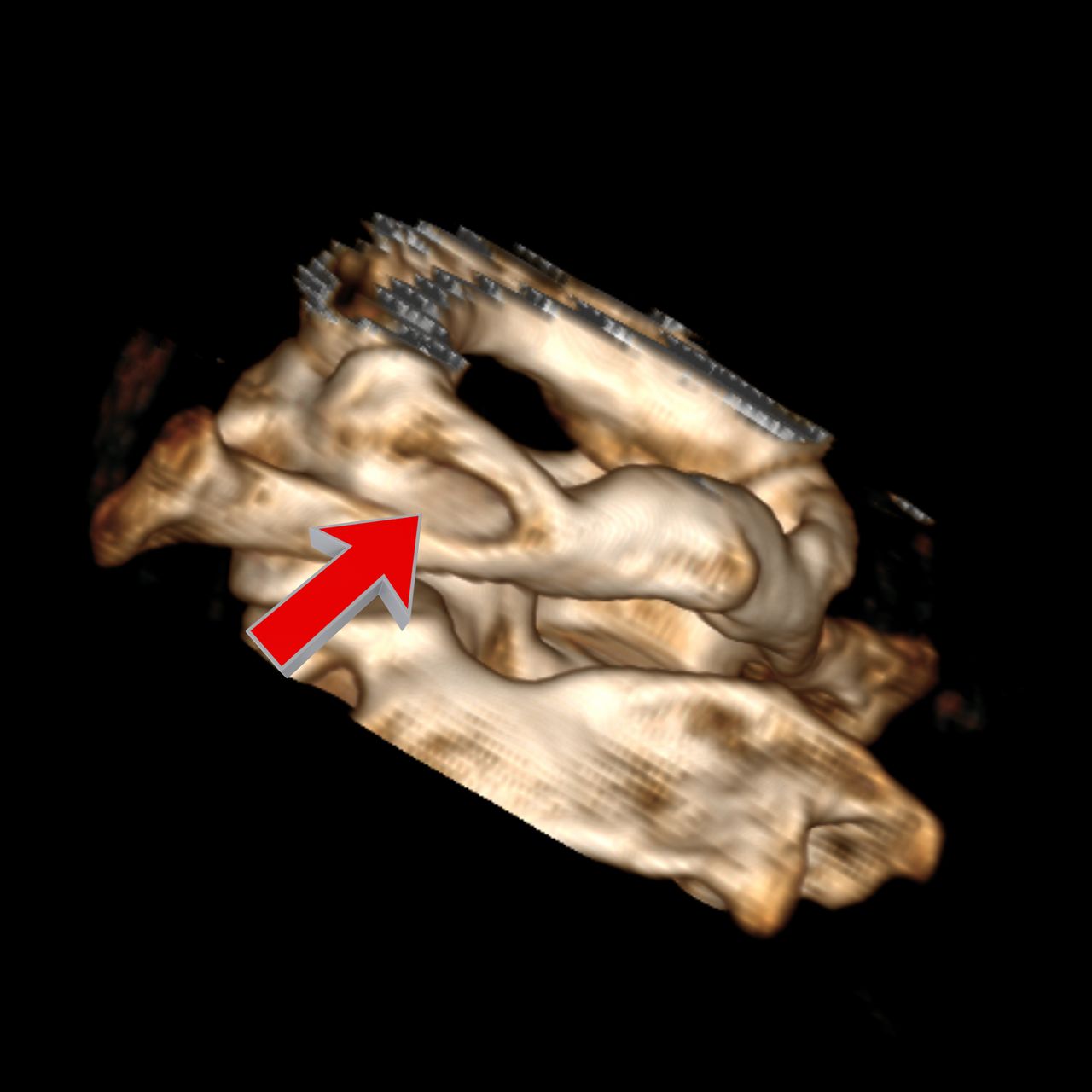 David Tafur Muñoz-2171