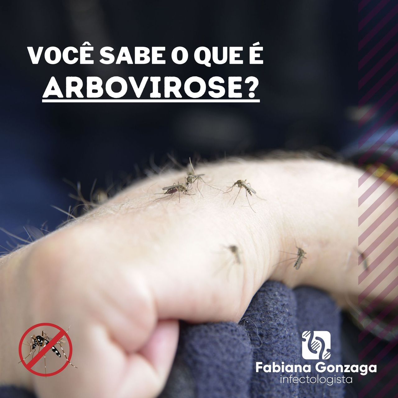 Fabiana Gonzaga Torreão Dos Santos-8