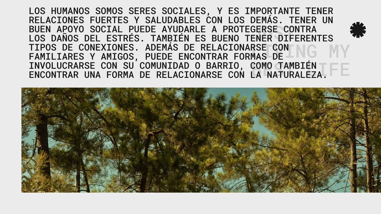 Alejandra Cerón Hueche-6