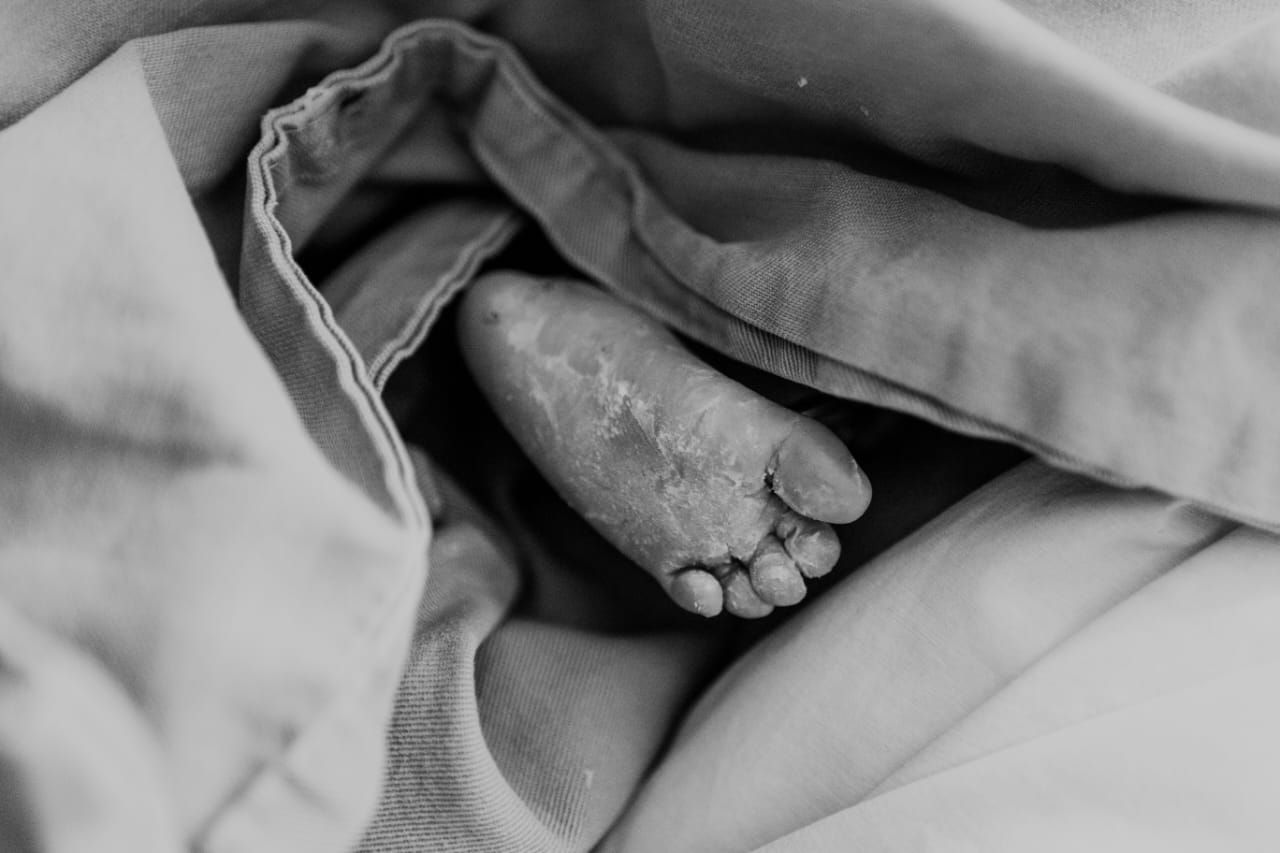 Livia Campelo Guerra Ribeiro-17