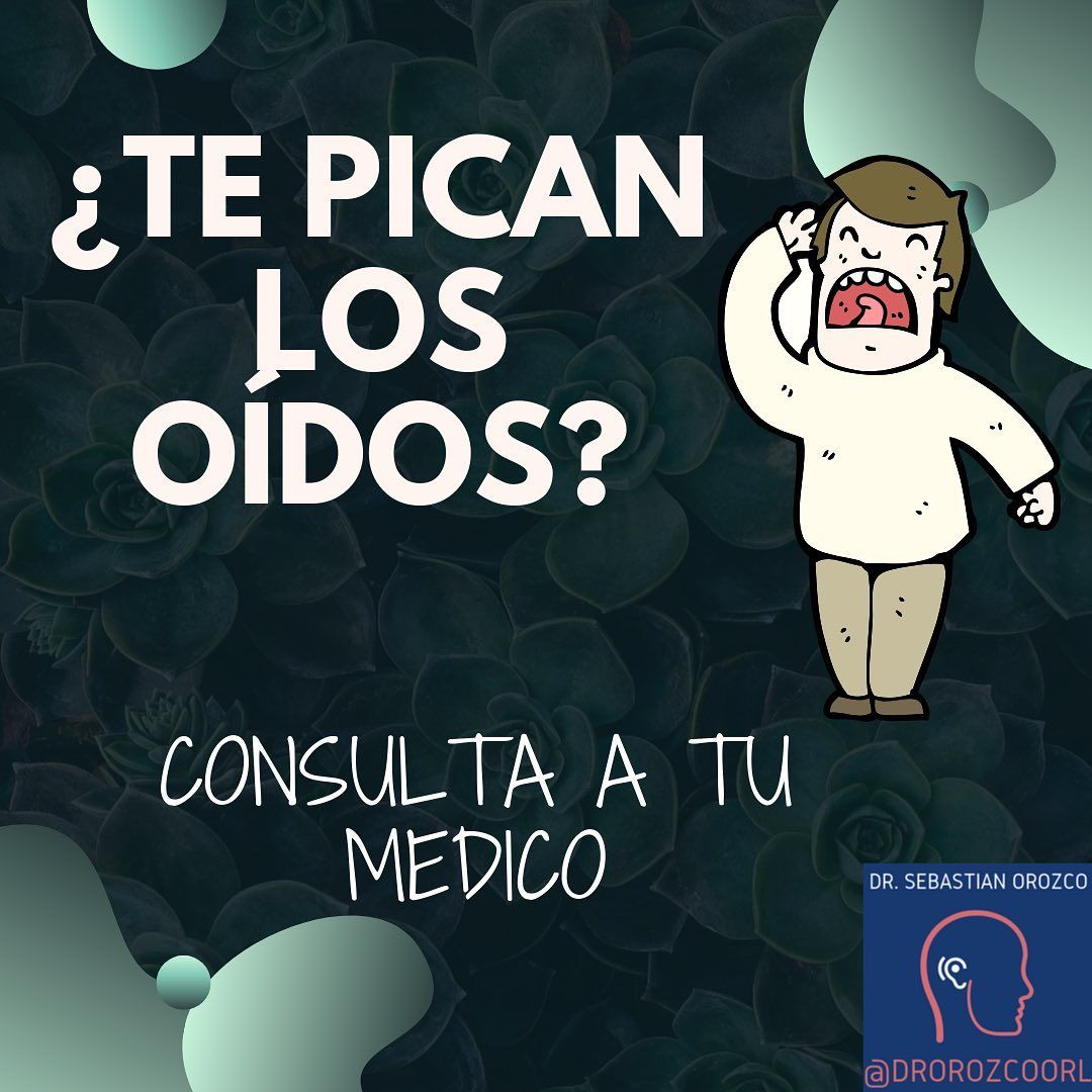 Sebastian Orozco Arteaga-8