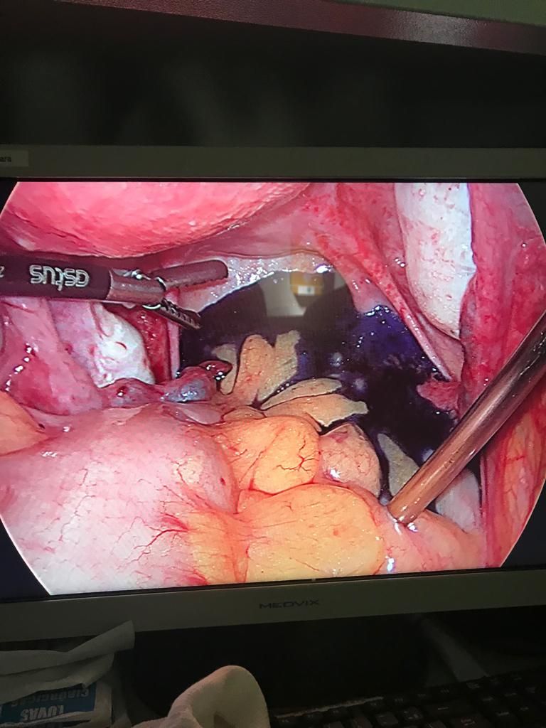 Paulo Cesar P Zarco Da Camara-2