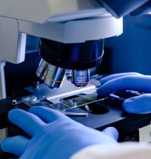 Leonidas Abaunza Gamez-2