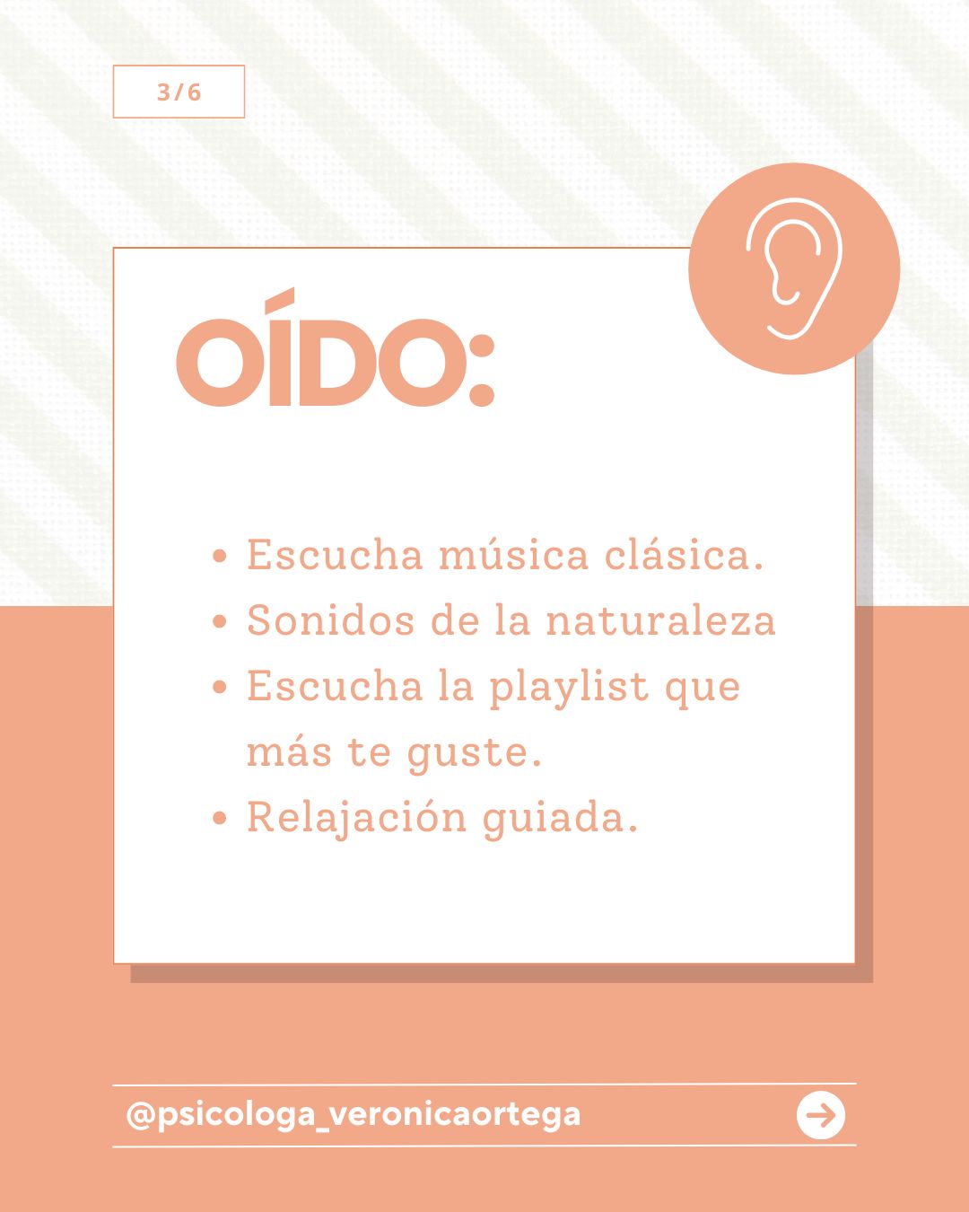 Diana Verónica Ortega Larraniaga-13