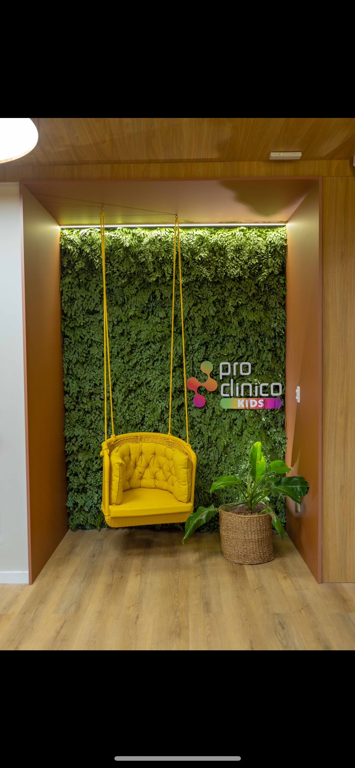 Sara Falcão Farias Nunes-1