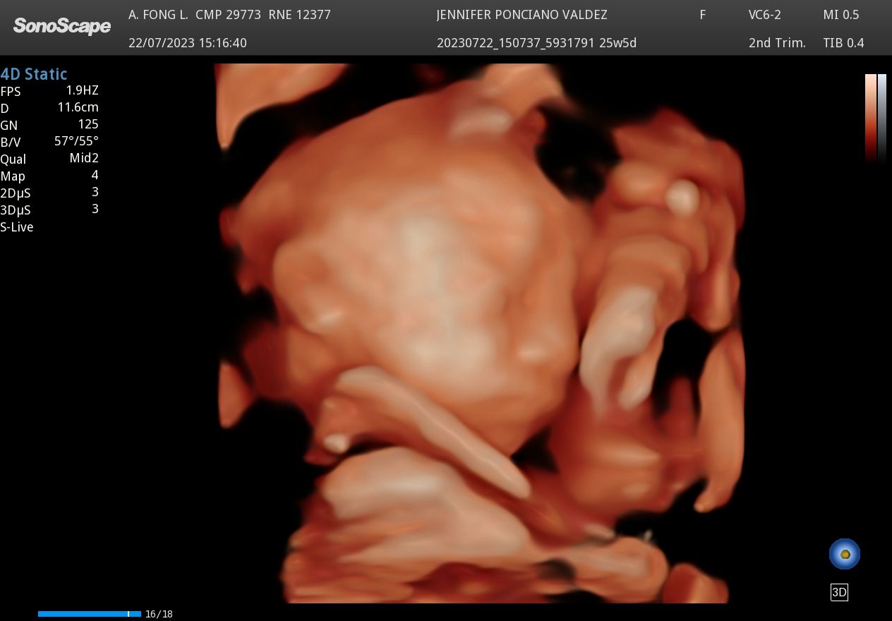 Armando Efren Fong Lei-6