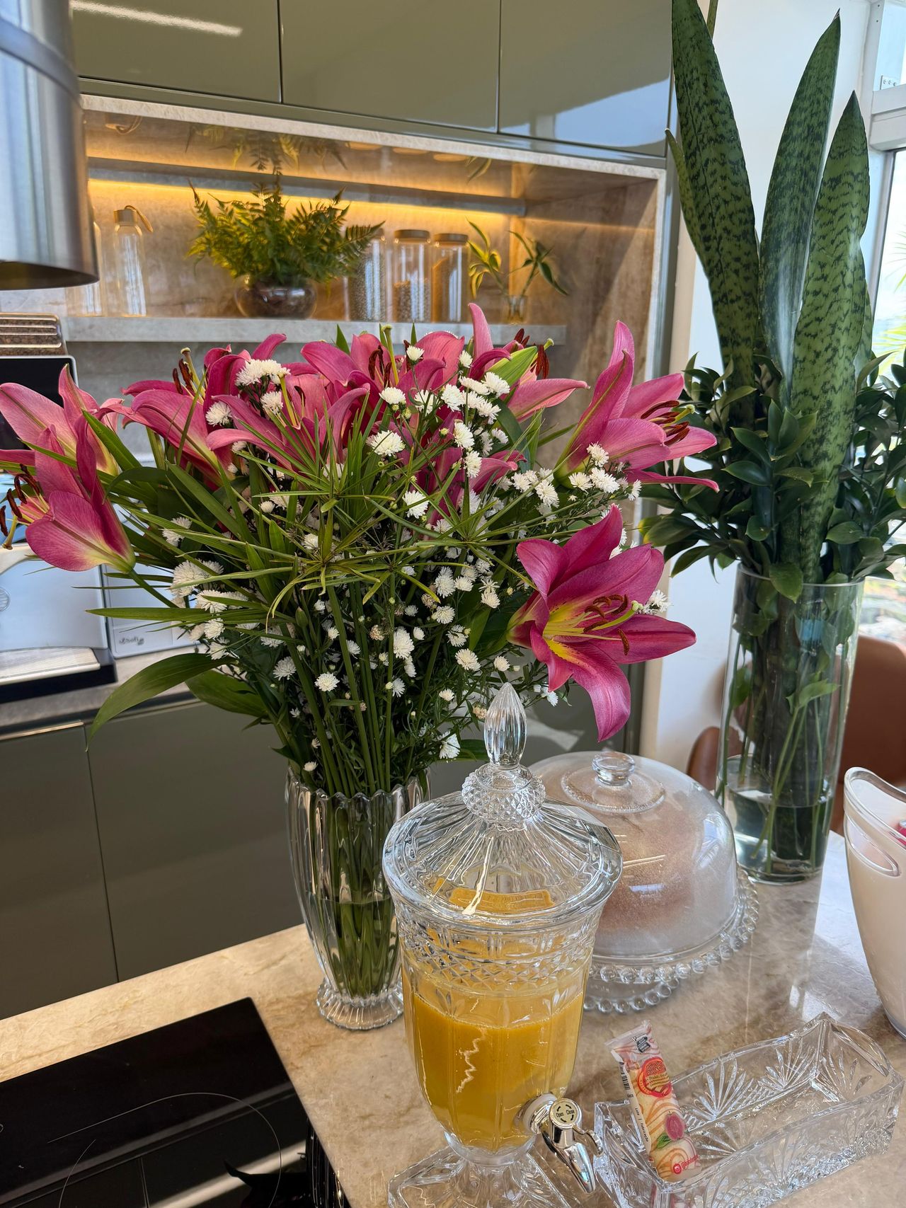 Joanna Thainã Santos Bertolino-8